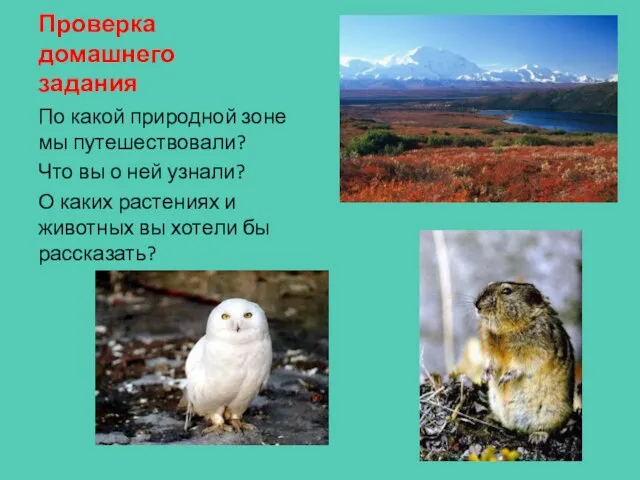 Проверка домашнего задания По какой природной зоне мы путешествовали? Что вы о