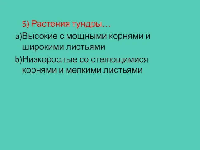 5) Растения тундры… Высокие с мощными корнями и широкими листьями Низкорослые со