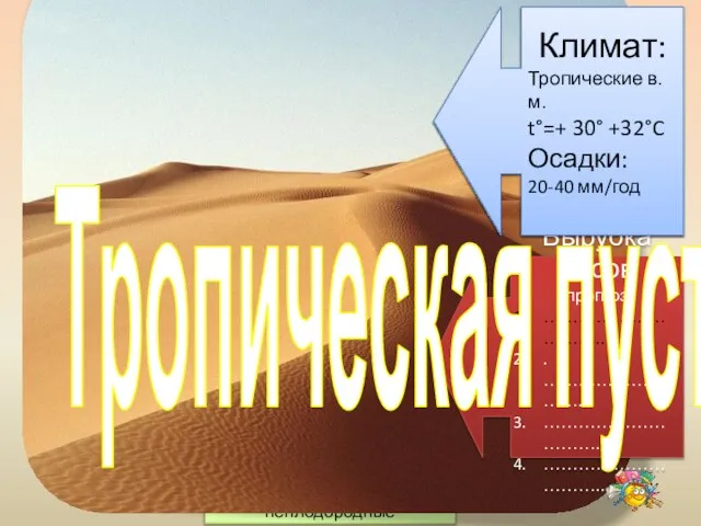 Нижний ярус Средний ярус Верхний ярус Почвы 2-3 см красно-жёлтые ферралитные, неплодородные