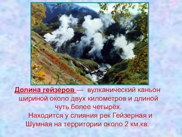 Долина гейзеров — вулканический каньон шириной около двух километров и длиной чуть