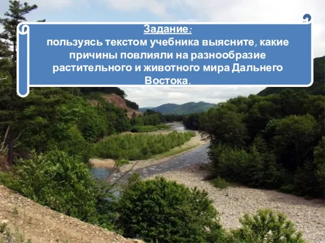 Задание: пользуясь текстом учебника выясните, какие причины повлияли на разнообразие растительного и животного мира Дальнего Востока.