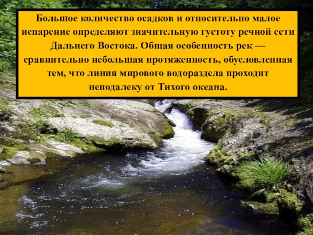 Большое количество осадков и относительно малое испарение определяют значительную густоту речной сети