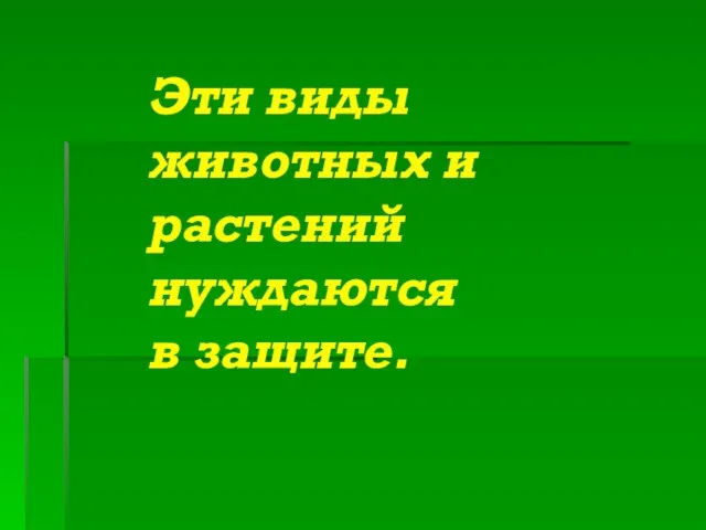 Эти виды животных и растений нуждаются в защите.