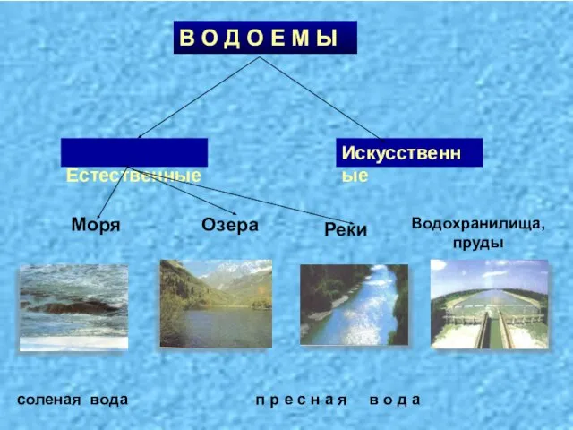 В О Д О Е М Ы Искусственные Естественные п р е