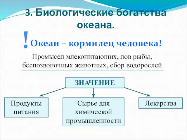 3. Биологические богатства океана. Океан – кормилец человека! ! Промысел млекопитающих, лов