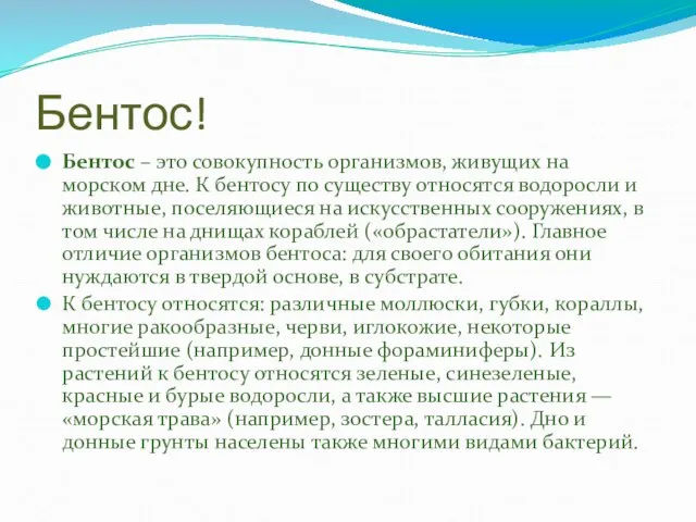 Бентос! Бентос – это совокупность организмов, живущих на морском дне. К бентосу