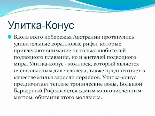 Улитка-Конус Вдоль всего побережья Австралии протянулись удивительные коралловые рифы, которые привлекают внимание