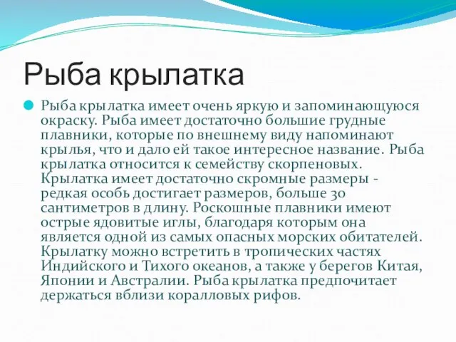 Рыба крылатка Рыба крылатка имеет очень яркую и запоминающуюся окраску. Рыба имеет