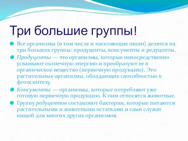 Три большие группы! Все организмы (в том числе и населяющие океан) делятся