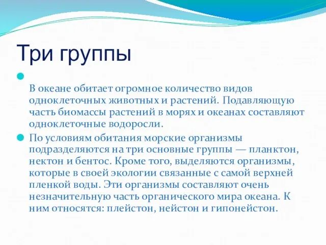 Три группы В океане обитает огромное количество видов одноклеточных животных и растений.