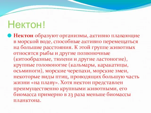 Нектон! Нектон образуют организмы, активно плавающие в морской воде, способные активно перемещаться