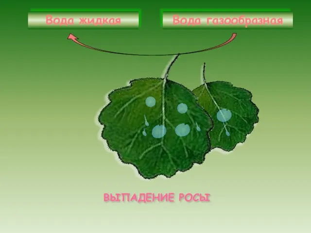 Вода газообразная Вода жидкая ВЫПАДЕНИЕ РОСЫ