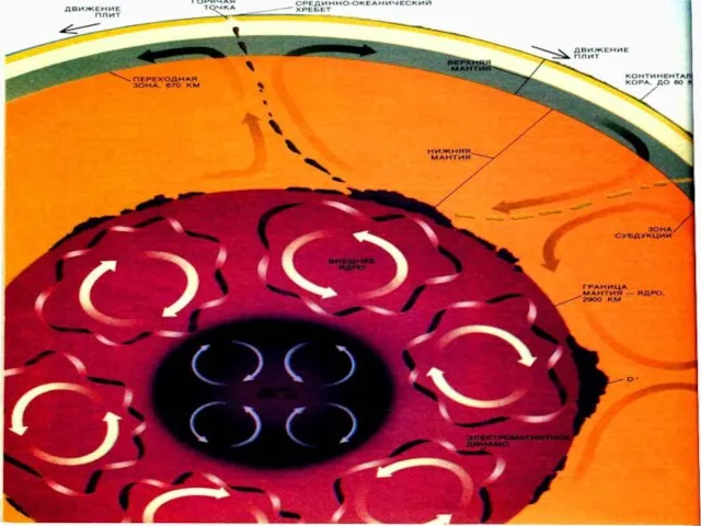 Сила, двигающая плиты Сейчас уже нет сомнений, что горизонтальное движение плит происходит
