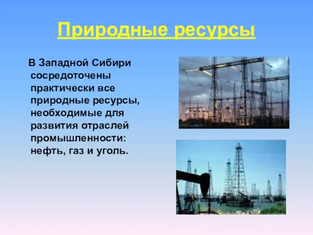 Природные ресурсы В Западной Сибири сосредоточены практически все природные ресурсы, необходимые для