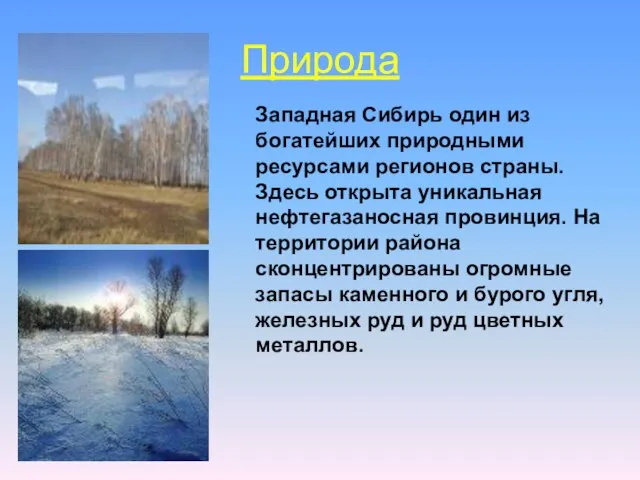 Природа Западная Сибирь один из богатейших природными ресурсами регионов страны. Здесь открыта