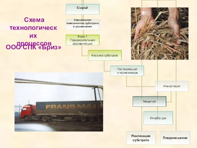 . Схема технологических процессов ООО СПК «Бриз»