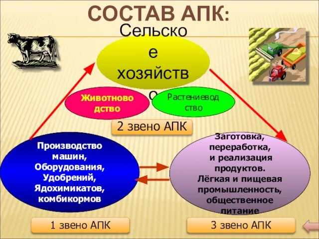 СОСТАВ АПК: Сельское хозяйство Животноводство Растениеводство 2 звено АПК Производство машин, Оборудования,