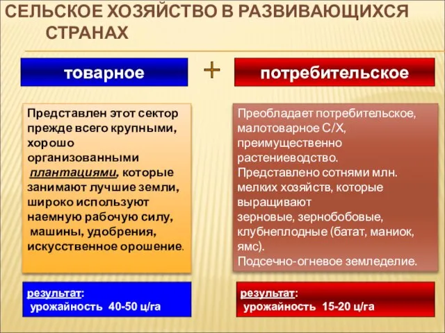 СЕЛЬСКОЕ ХОЗЯЙСТВО В РАЗВИВАЮЩИХСЯ СТРАНАХ товарное потребительское Представлен этот сектор прежде всего