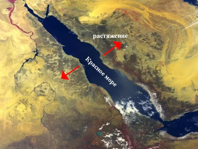 Красное море растяжение