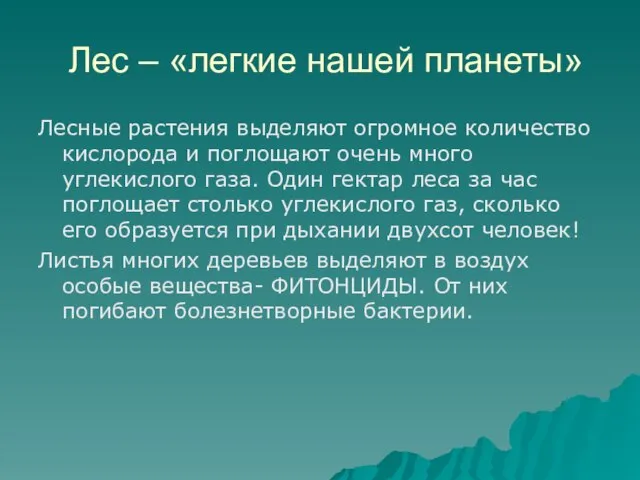 Лес – «легкие нашей планеты» Лесные растения выделяют огромное количество кислорода и