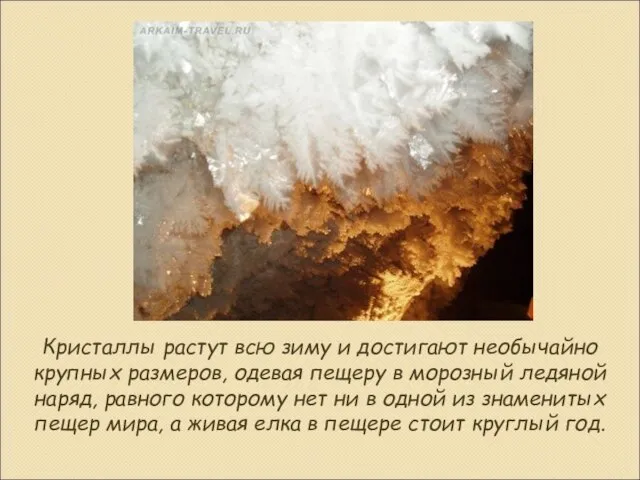 Кристаллы растут всю зиму и достигают необычайно крупных размеров, одевая пещеру в