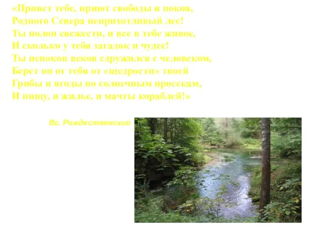 «Привет тебе, приют свободы и покоя, Родного Севера неприхотливый лес! Ты полон