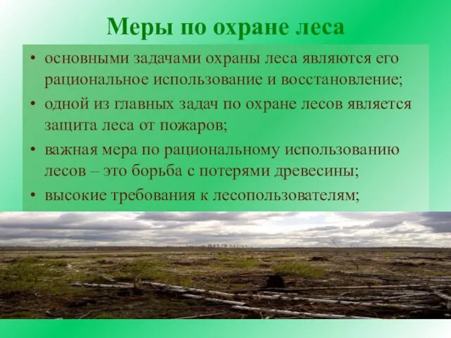 Меры по охране леса основными задачами охраны леса являются его рациональное использование