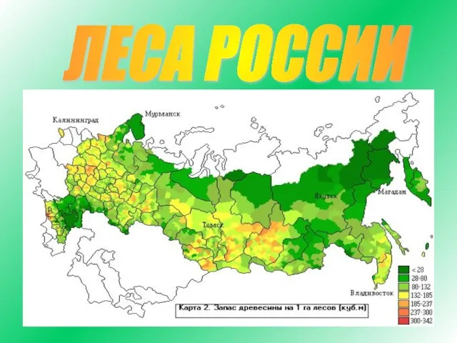 ЛЕСА РОССИИ