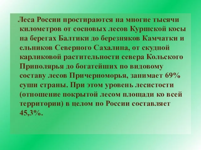 Леса России простираются на многие тысячи километров от сосновых лесов Куршской косы