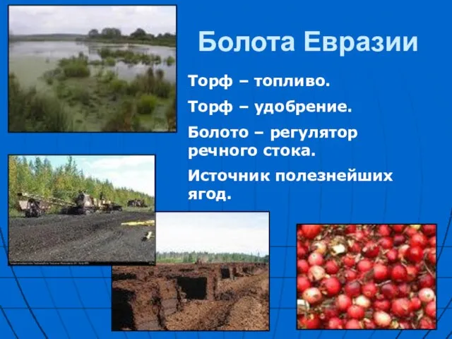 Болота Евразии Торф – топливо. Торф – удобрение. Болото – регулятор речного стока. Источник полезнейших ягод.