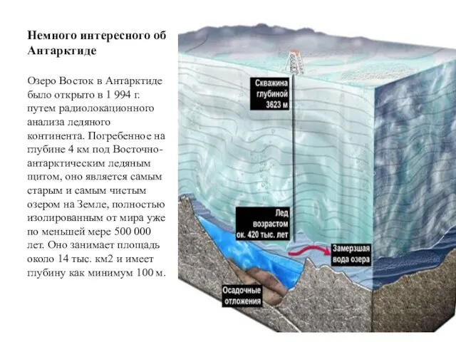 Немного интересного об Антарктиде Озеро Восток в Антарктиде было открыто в 1