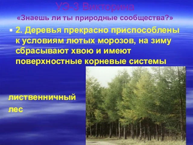 УЭ-3 Викторина «Знаешь ли ты природные сообщества?» 2. Деревья прекрасно приспособлены к