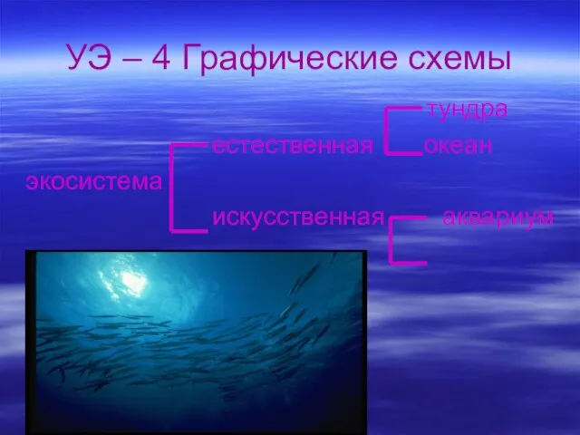 тундра естественная океан экосистема искусственная аквариум УЭ – 4 Графические схемы