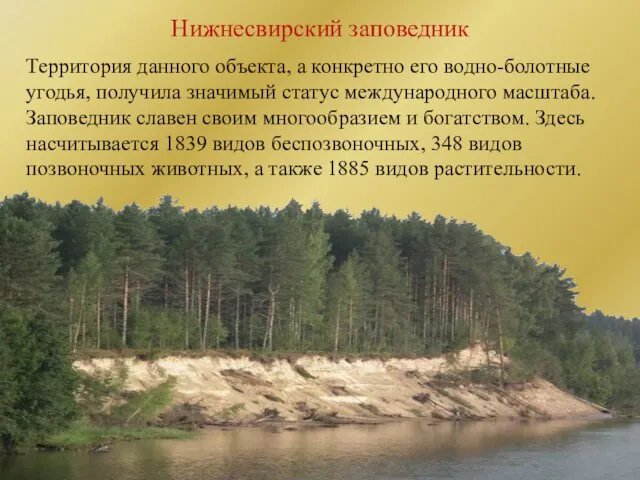 Нижнесвирский заповедник Территория данного объекта, а конкретно его водно-болотные угодья, получила значимый