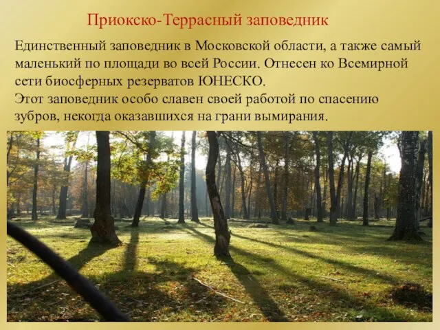 Приокско-Террасный заповедник Единственный заповедник в Московской области, а также самый маленький по