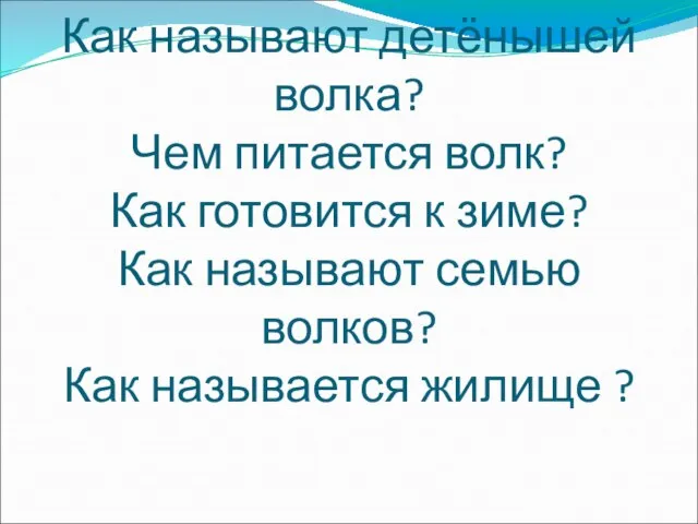 Как называют детёнышей волка? Чем питается волк? Как готовится к зиме? Как