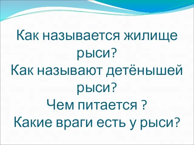 Как называется жилище рыси? Как называют детёнышей рыси? Чем питается ? Какие враги есть у рыси?