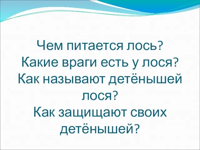 Чем питается лось? Какие враги есть у лося? Как называют детёнышей лося? Как защищают своих детёнышей?