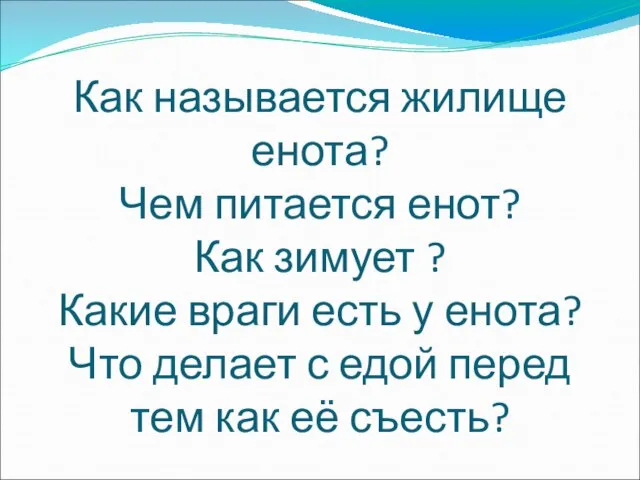 Как называется жилище енота? Чем питается енот? Как зимует ? Какие враги