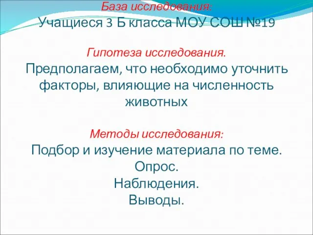 База исследования: Учащиеся 3 Б класса МОУ СОШ №19 Гипотеза исследования. Предполагаем,