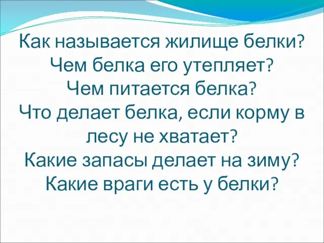 Как называется жилище белки? Чем белка его утепляет? Чем питается белка? Что