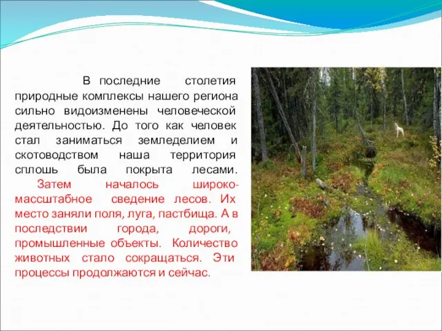 В последние столетия природные комплексы нашего региона сильно видоизменены человеческой деятельностью. До