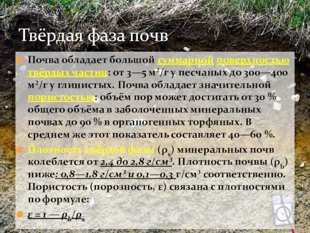 Почва обладает большой суммарной поверхностью твёрдых частиц: от 3—5 м²/г у песчаных