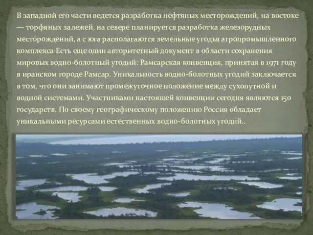 В западной его части ведется разработка нефтяных месторождений, на востоке — торфяных