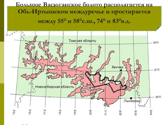Большое Васюганское болото располагается на Обь-Иртышском междуречье и простирается между 55° и 58°с.ш., 74° и 83°в.д.