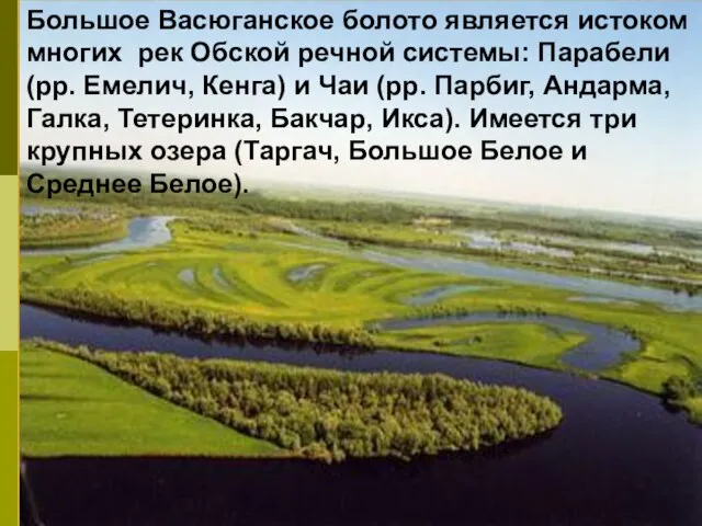 Большое Васюганское болото является истоком многих рек Обской речной системы: Парабели (рр.