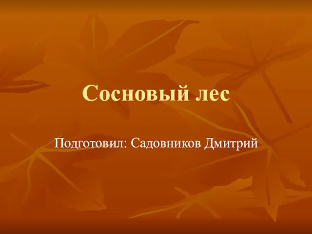 Сосновый лес Подготовил: Садовников Дмитрий