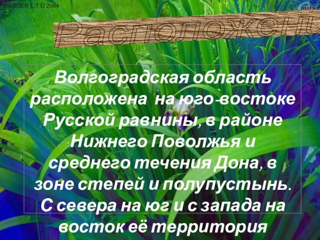 Волгоградская область расположена на юго-востоке Русской равнины, в районе Нижнего Поволжья и