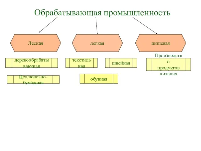 Обрабатывающая промышленность Лесная легкая пищевая текстильная обувная швейная Производство продуктов питания Целлюлозно-бумажная деревообрабатывающая