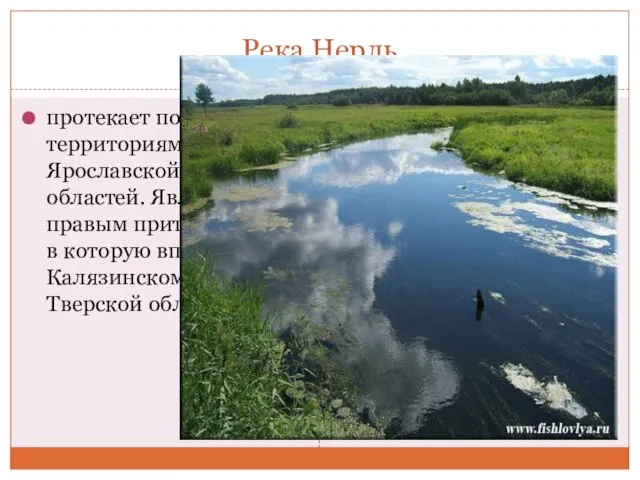 Река Нерль протекает по территориям Ярославской и Тверской областей. Является правым притоком